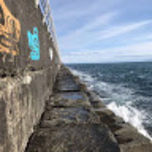 Meet your Posher, Aurora stephanie ann